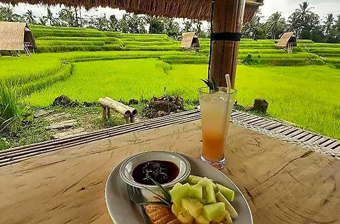 Swaha Retreat & Eco Park Ubud Campo de lujo 4*