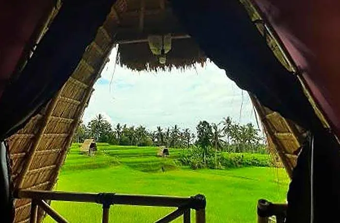 Campo de lujo Swaha Retreat & Eco Park Ubud