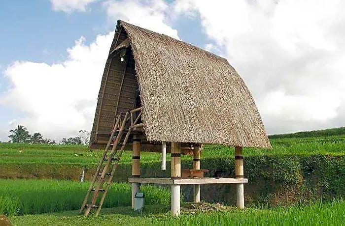 Swaha Retreat & Eco Park Ubud Campo de lujo 4*