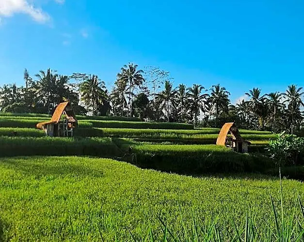 Swaha Retreat & Eco Park Ubud Campo de lujo Sebatu (Bali)