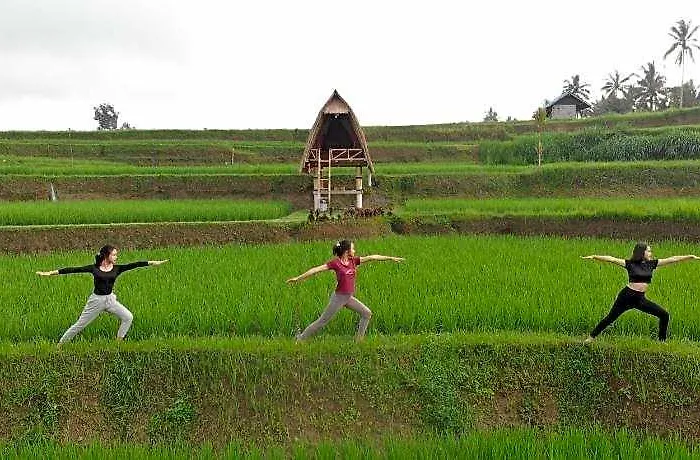Swaha Retreat & Eco Park Ubud Campo de lujo