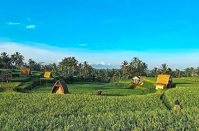 Swaha Retreat & Eco Park Ubud 4* Sebatu (Bali)