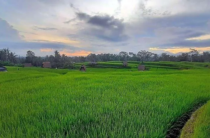 Swaha Retreat & Eco Park Ubud 4* Sebatu (Bali)