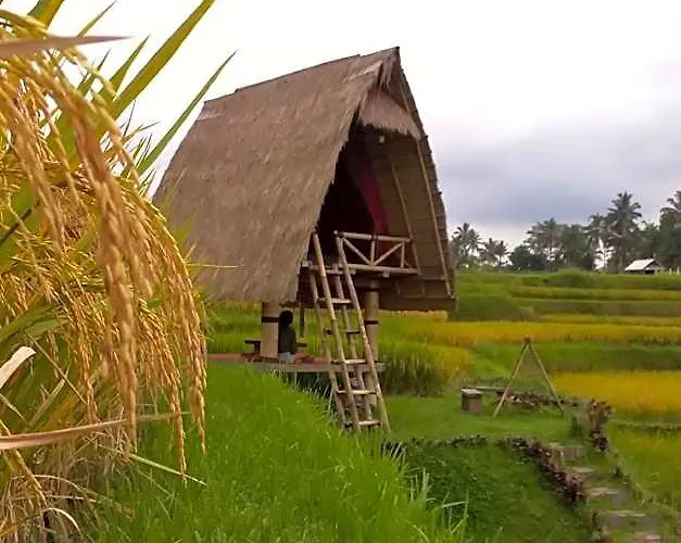 Swaha Retreat & Eco Park Ubud