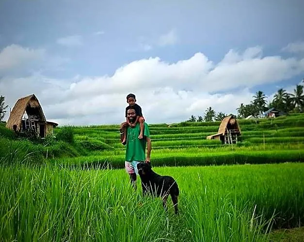 Campo de lujo Swaha Retreat & Eco Park Ubud Sebatu (Bali)