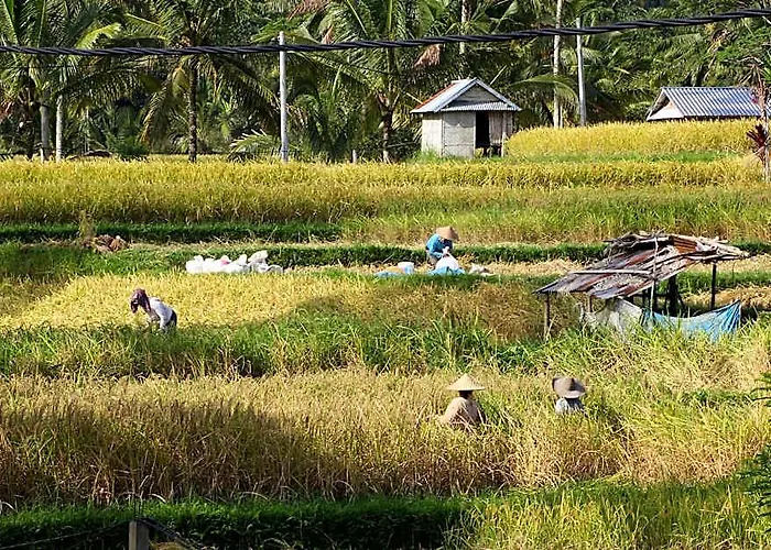 Swaha Retreat & Eco Park Ubud 4* Sebatu (Bali)