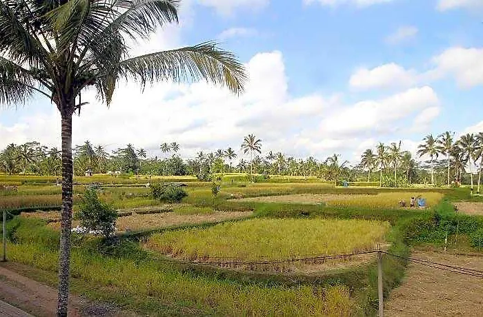 Swaha Retreat & Eco Park Ubud Sebatu (Bali)