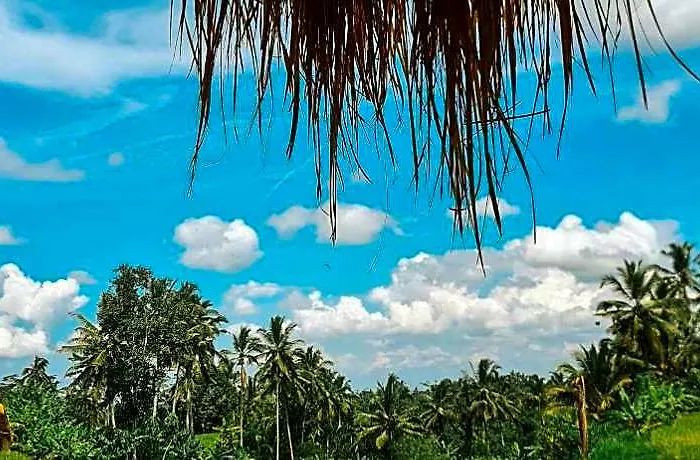 Swaha Retreat & Eco Park Ubud Campo de lujo Sebatu (Bali)